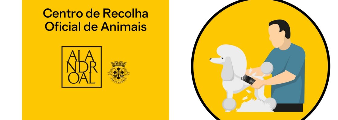 Centro de Recolha de Animais – Serviços