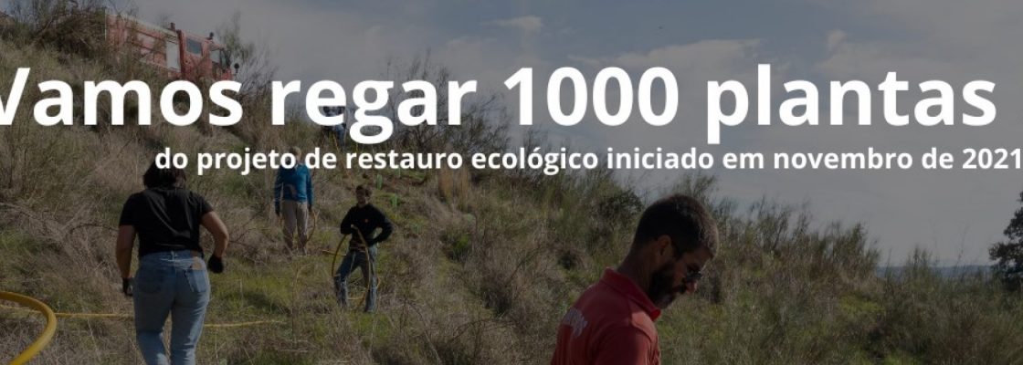 (Português) Apoio à Transição Climática (Re)arborização ilhas-sombra em meio urbano