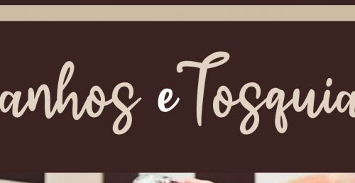 Banhos e tosquias