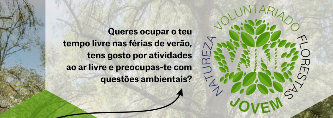 Voluntariado Jovem para a Natureza e Florestas