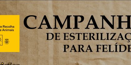 Campanha de Esterilização para felídeos