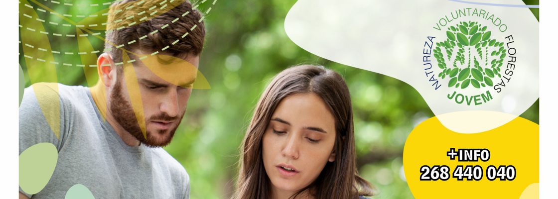Voluntariado Jovem 2025