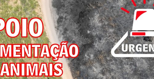 Apoio Alimentação de Animais