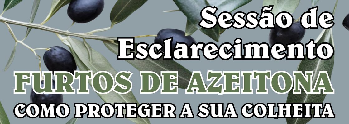 Sessão de Esclarecimentos – Furtos de Azeitona
