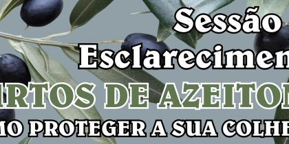 Sessão de Esclarecimentos – Furtos de Azeitona