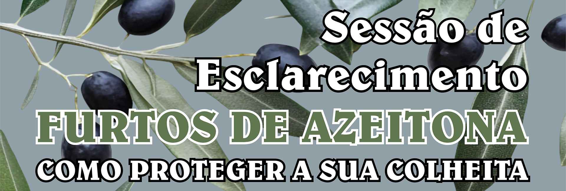 Sessão de Esclarecimentos – Furtos de Azeitona